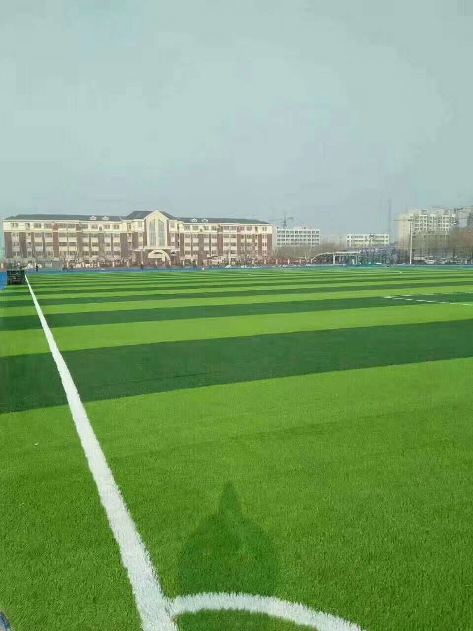 新余市透气型塑胶跑道仿真草坪 - 排名